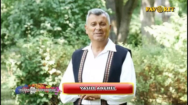 Vasile Anghel - Ma uit peste camp mereu (Incotro ma duce dorul - Favorit TV - 27.08.2018)