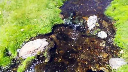 Lagunas y curso alto del Río Lanjarón, 26-08-2018.