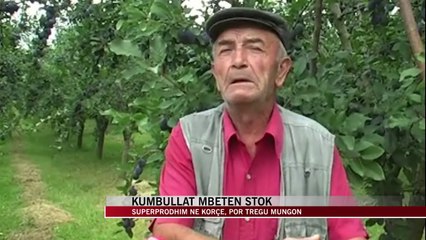 Kumbullat mbeten stok në Korçë, mungon tregu - News, Lajme - Vizion Plus