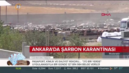 Ankara'da şarbon karantinası