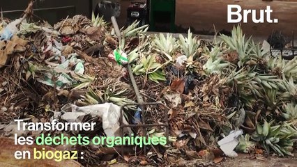 Au Bénin, une fondation suisse transforme des ordures… en biogaz