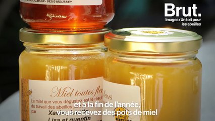 "Un toit pour les abeilles", le réseau qui permet de parrainer des ruches