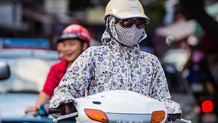 Air pollution can damage our intelligence, study finds