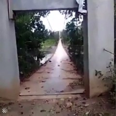 Aucune personne saine d'esprit n'osera traverser ce pont...