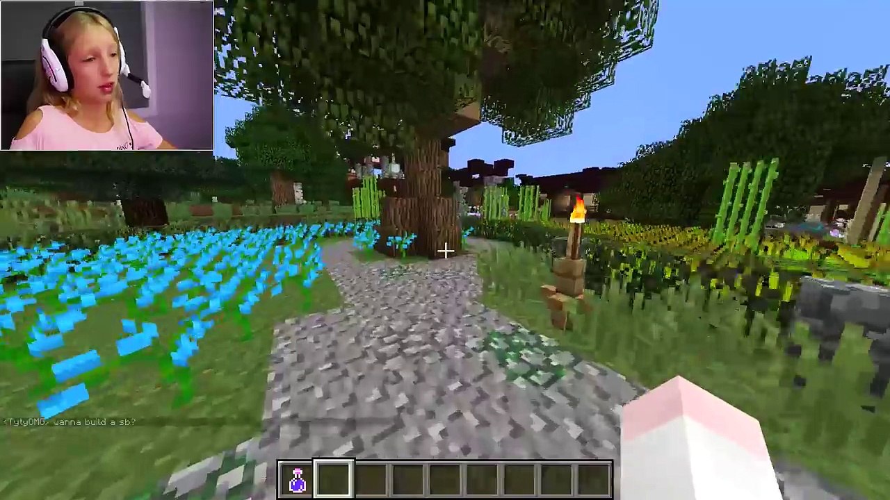 CRAZY TOWN - Minecraft (2)