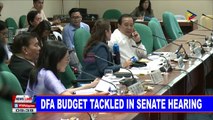 DFA budget tackled in Senate hearing