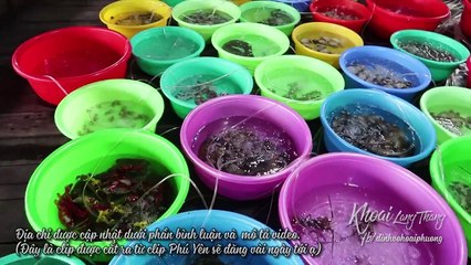 ĂN TÔM HÙM, HẢI SẢN ở đầm Ô Loan |Du lịch Phú Yên