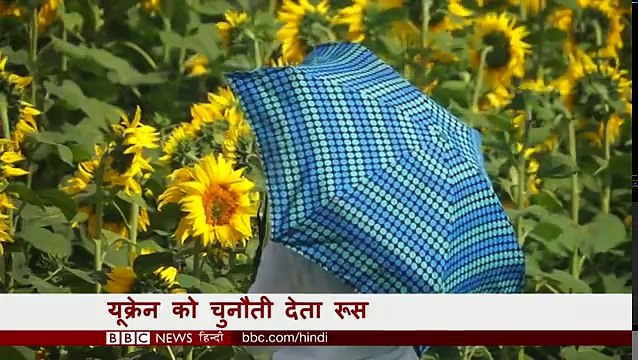 Yemen Cholera Epidemic 'controlled' by Computer Predictions: BBC Duniya with Vidit (BBC Hindi)