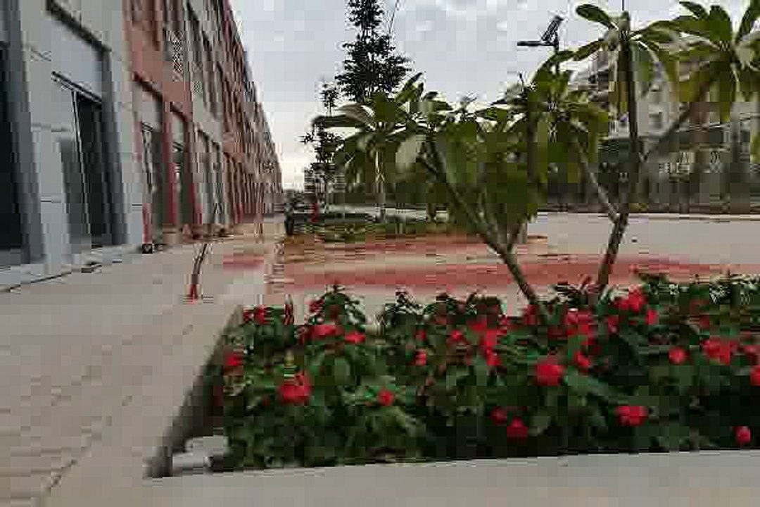 Office 80m furnished for rent in The courtyard