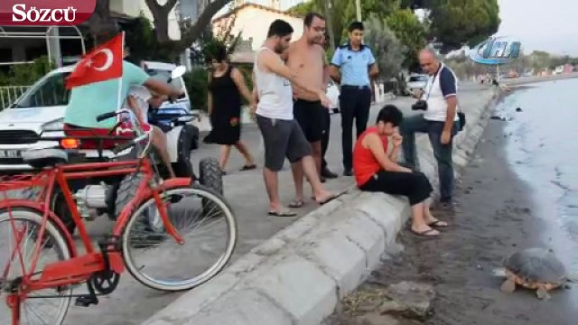 Aliağa’da ölü caretta caretta bulundu