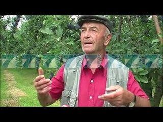 SUPERPRODHIM I KUMBULLAVE POR U KALBEN PASI NUK KA TREG SHITJE - News, Lajme - Kanali 7