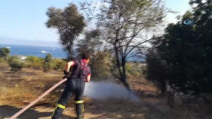 Boş arazide çıkan yangın zeytin ağaçlarına sıçradı