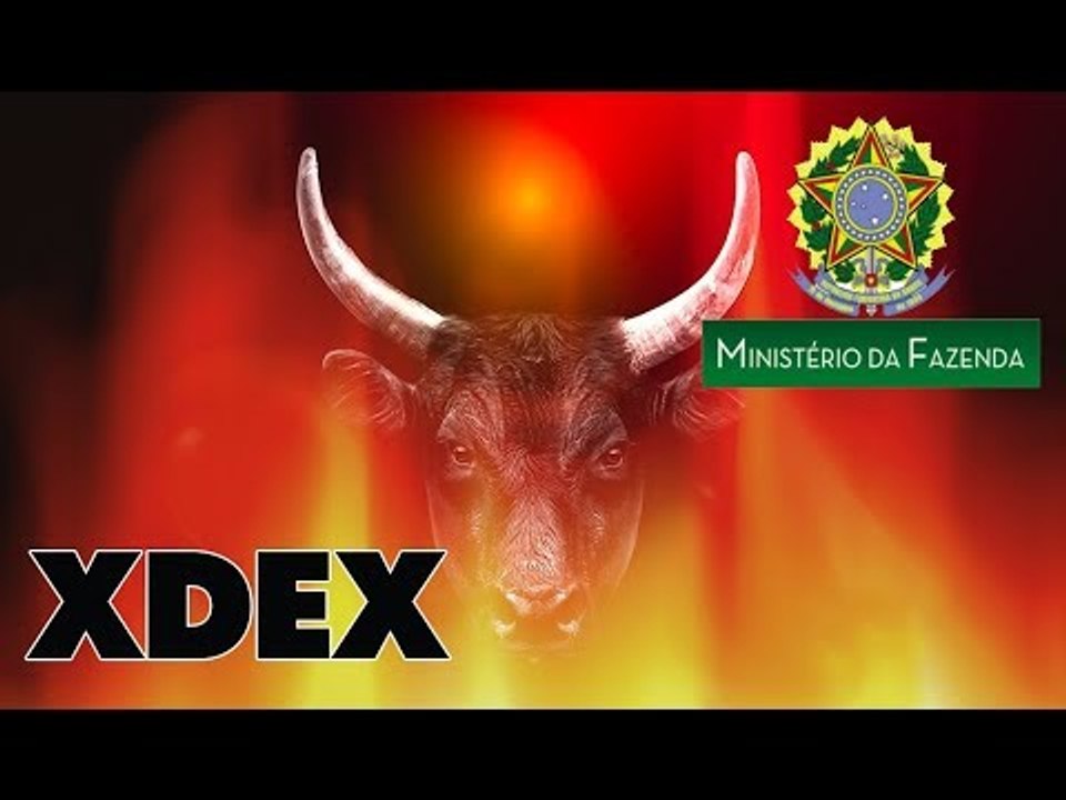 Notícias Análise 28/08: Valorização Geral! Casa de Câmbio XP - Governo Requer Dados Clientes