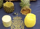 La police découvre 67 kilos de cocaïne cachés dans des ananas