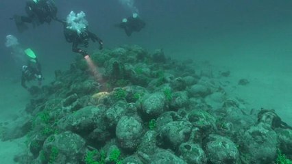 Подводный клад Адриатики