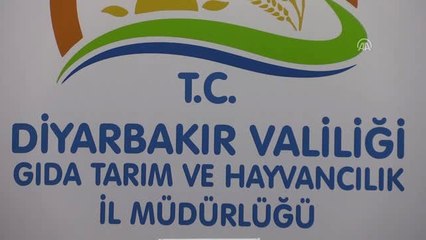 Silvan Projesi ile En Az 300 Bin Kişi İş, AŞ Sahibi Olacak"