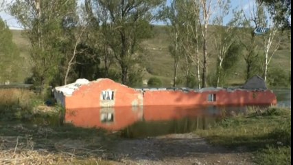 Kars Baraj Gölü Yaban Hayatına Ev Sahipliği Yapıyor