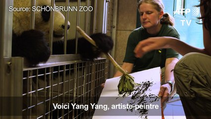 Autriche: les peintures d'un panda à vendre pour près de 500 €