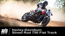 FLAT TRACK EN HARLEY-DAVIDSON STREET ROD 750