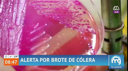 ¡Alerta por brote de cólera en Chile! - Mucho gusto 2018