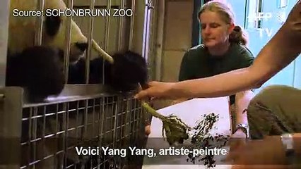 Autriche: les peintures d'un panda à vendre pour près de 500 €