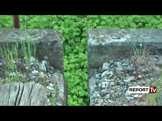 Report Tv-Ura e trenit mbi lumin Ishëm rrezikon shembjen, largohen trarët..