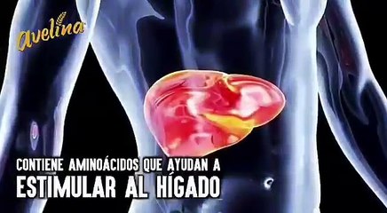 Mauro Libi Crestani te enseña los beneficios de la Avena en la vida diaria