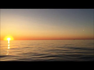 Ce matin, l'équipe de l'Aire marine... - Aire Marine Protégée de la Côte Agathoise
