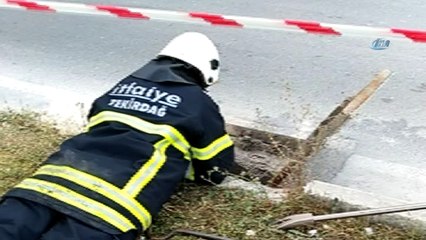 Rögarda mahsur kalan yavru kedi 4 saatlik çalışmanın ardından kurtarıldı