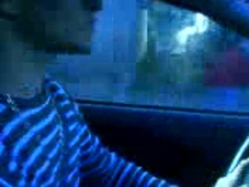 MOV00433