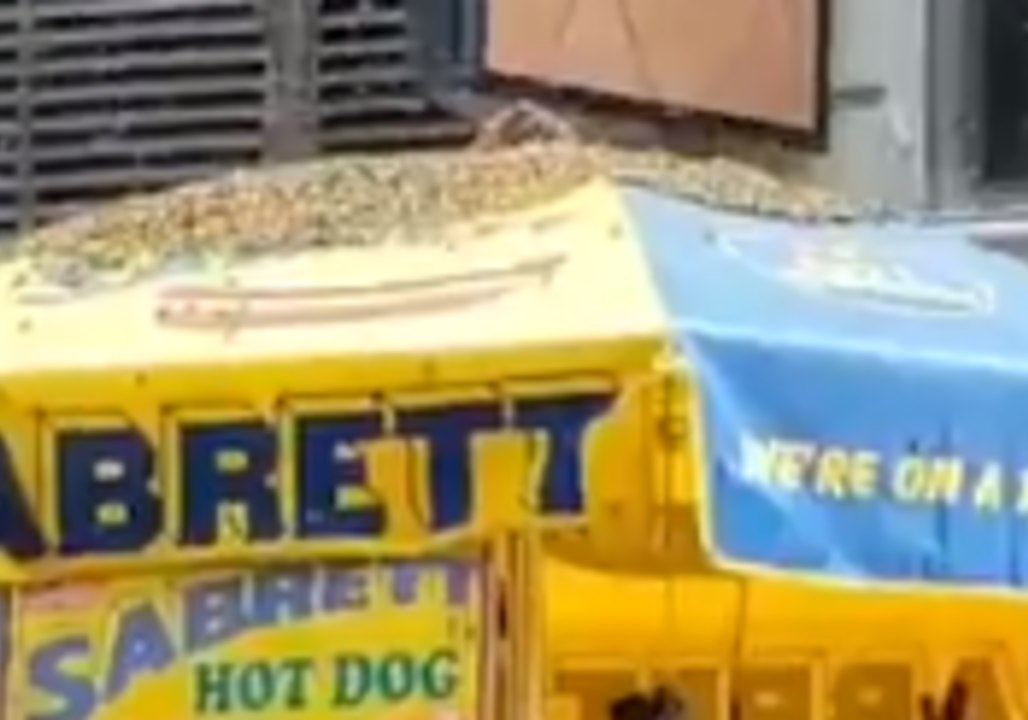 Tens of Thousands of Bees Swarm Hot Dog Cart in Times Square