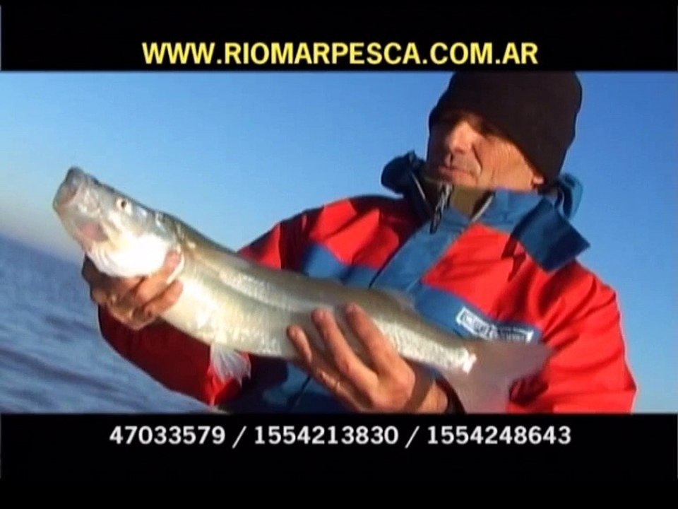 Panorama TV 399