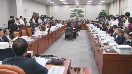 운영위, 소득주도성장·통계청장 인사 놓고 '난타전' / YTN