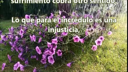 Dios te habla hoy,Devocional: ¿ Por que a mi ? 29,Agosto.