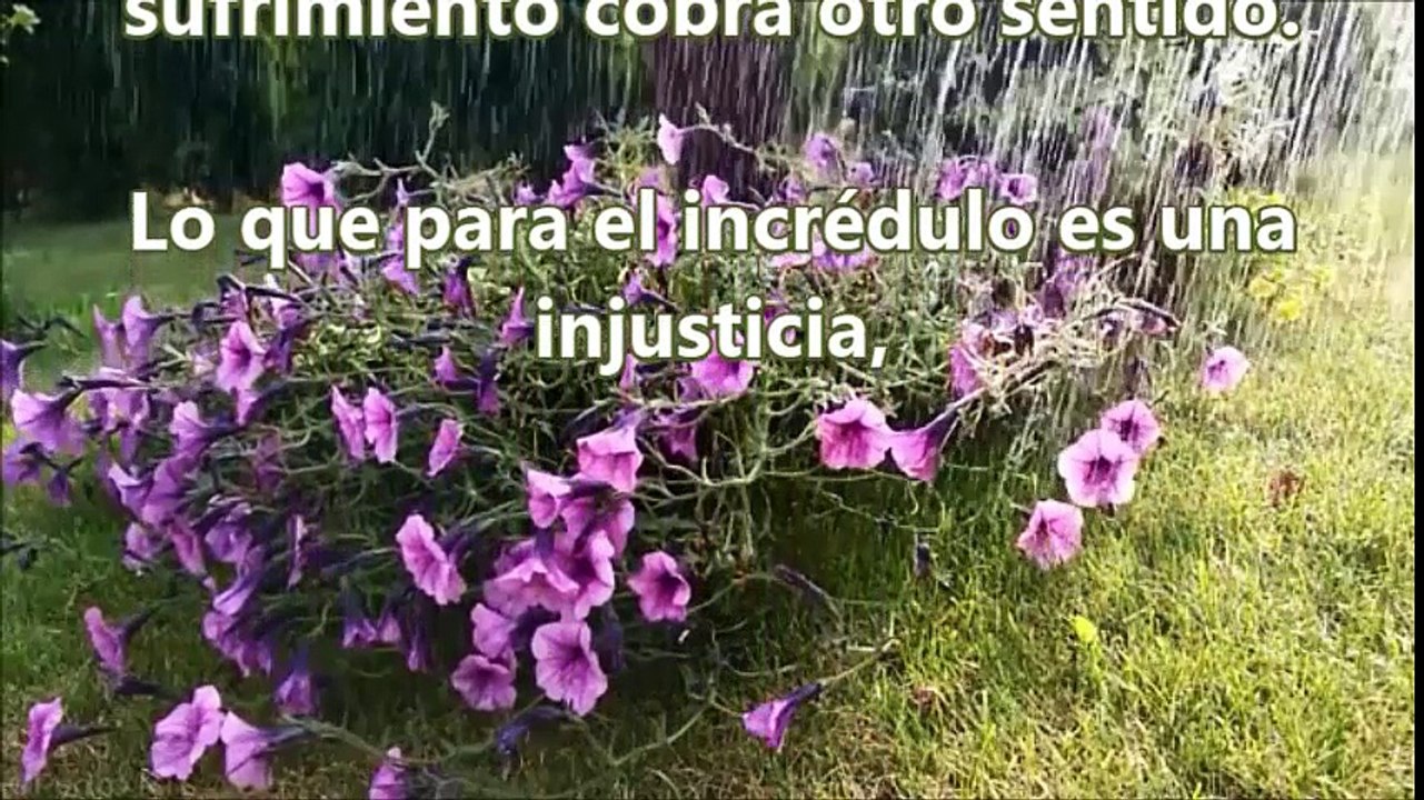 Dios te habla hoy,Devocional: ¿ Por que a mi ? 29,Agosto.