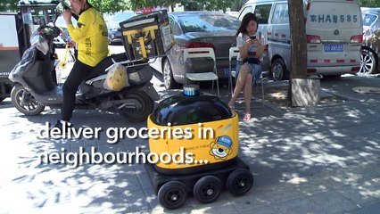 Robot teachers invade Chinese kindergartens