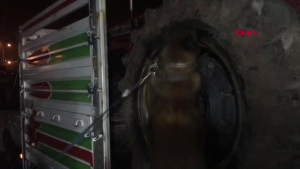 Adana Traktör Tekerleklerinden Esrar Çıktı