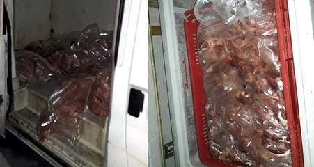 Mersin'de 1,5 Ton Kokmuş Tavuk Eti Ele Geçirildi