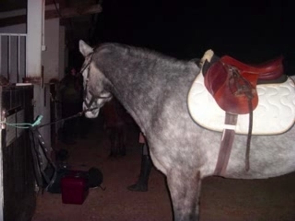 Pirouette je t'aime tellement