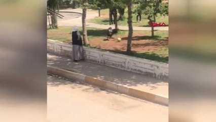 Diyarbakır Hindiler Top Oynadı, Mahalleli Şaşkın Bakışlarla İzledi