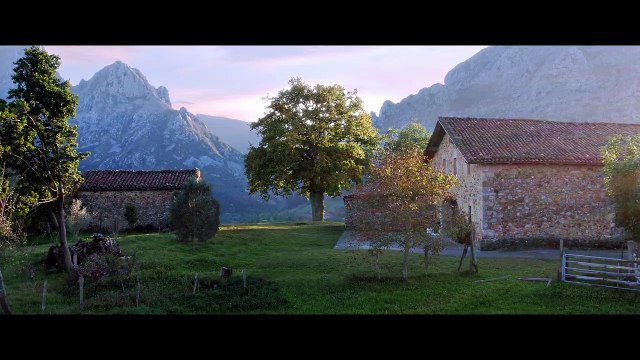 Tráiler final El árbol de la sangre , de Julio Médem, protagonizada por Úrsula Corberó y Álvaro Cervantes.