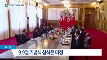 “문 대통령, 9월 반드시 평양 갈 것”