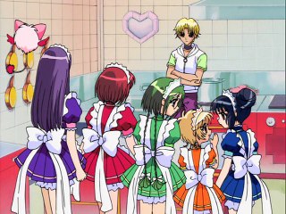 Mew Mew Amiche Vincenti - Episodio 25 - Il bozzolo del pericolo