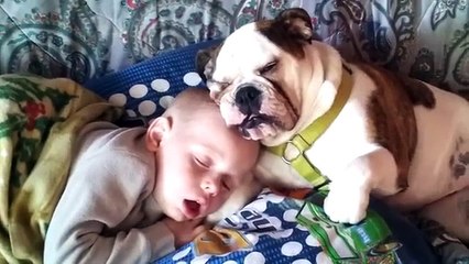 The Cutest Kids and Animals Compilation 2018 Pt. 1 | Funny Pet Videos
