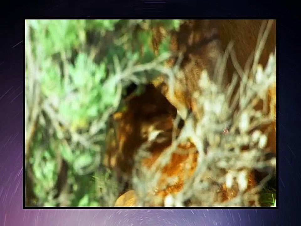 Mountain Life At The Extreme - S01E01