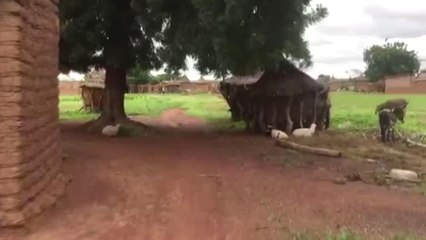 Afrikalı Çocukların Balon Şaşkınlığı - Burkina
