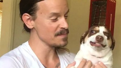 Un chien n'aime pas être filmé