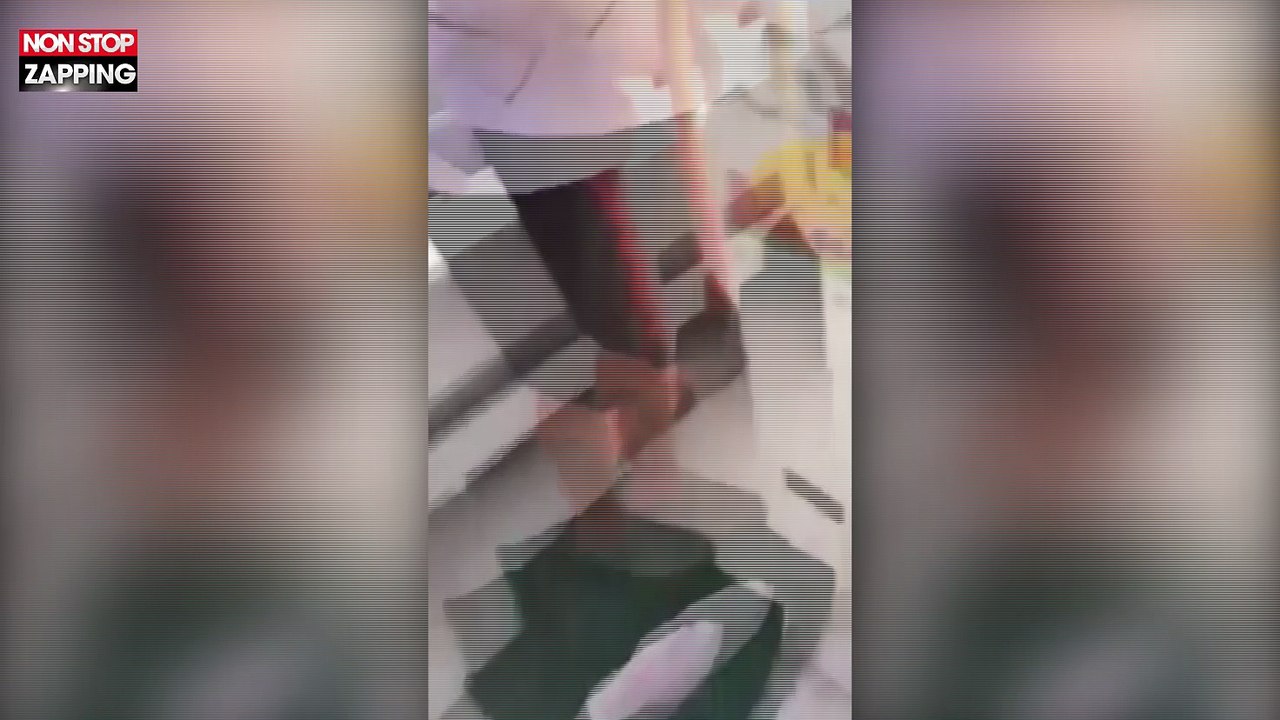 Australie : Un crocodile attaque le bateau d'un pêcheur (Vidéo)