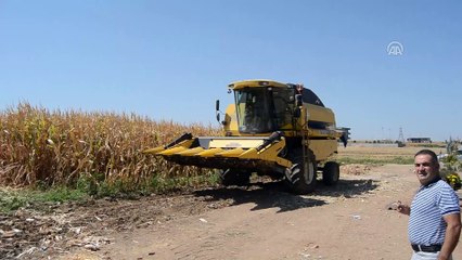 Batman Vali Yardımcısı Çeviren: 'Anız yakmayla geleceğimizi karartıyoruz' - BATMAN