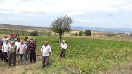 Mahalle Sakinleri Arazi Tahsisine Tepki Gösterdi